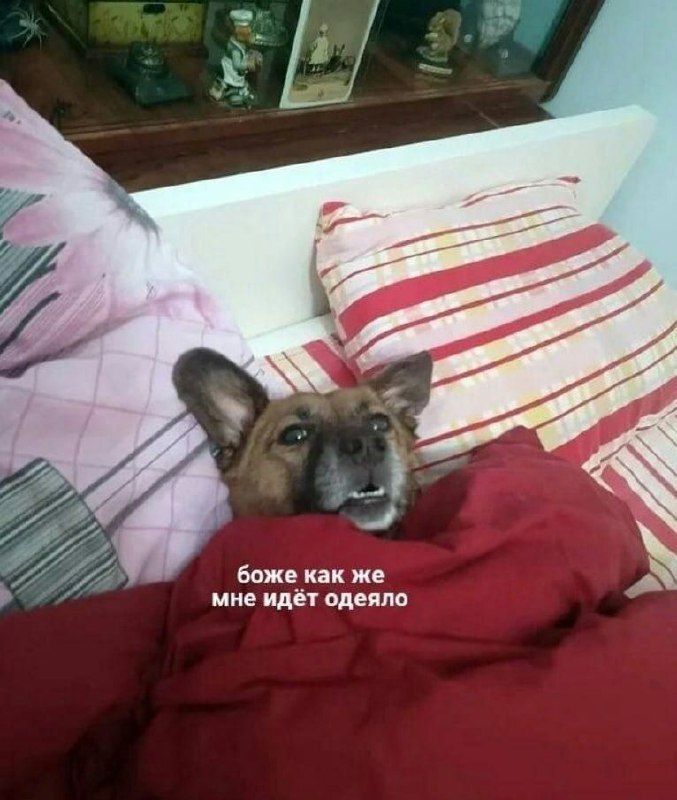 Уруру