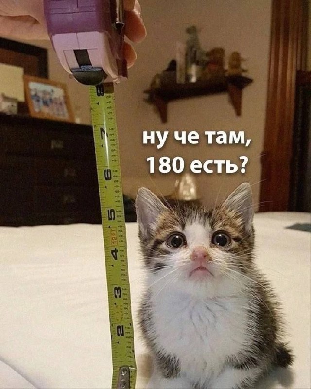 Уруру