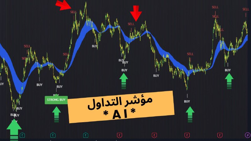 الفيديو الثاني
