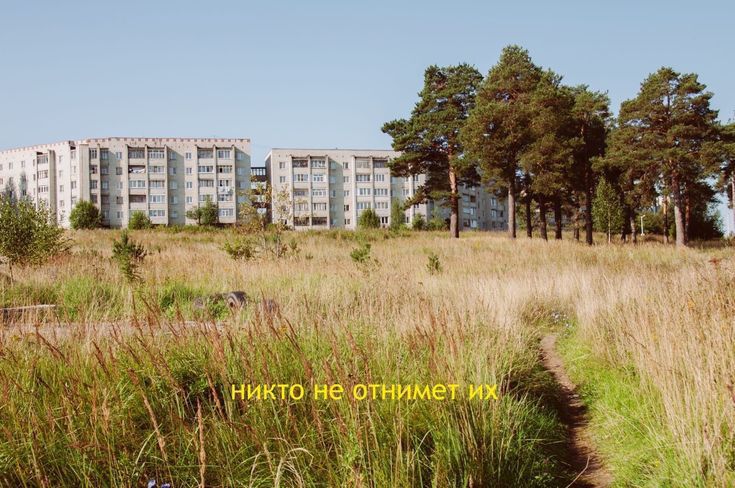 Ушедшие дни