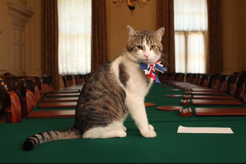 "**Главный Мышелов" (англ. Chief Mouser to …