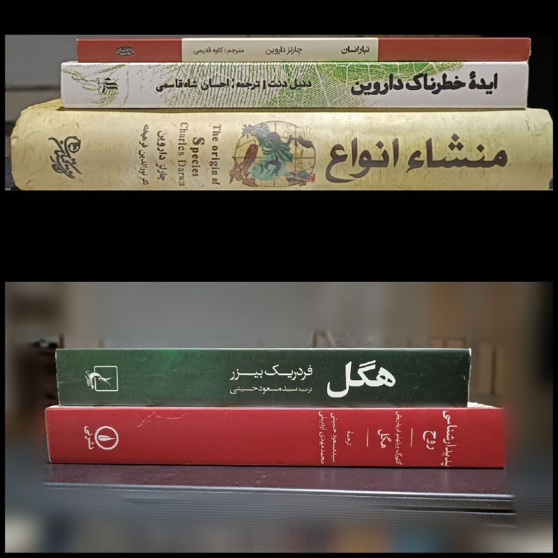 [#فروش](?q=%23%D9%81%D8%B1%D9%88%D8%B4)