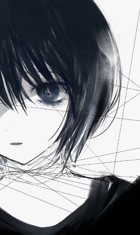 美しい写真