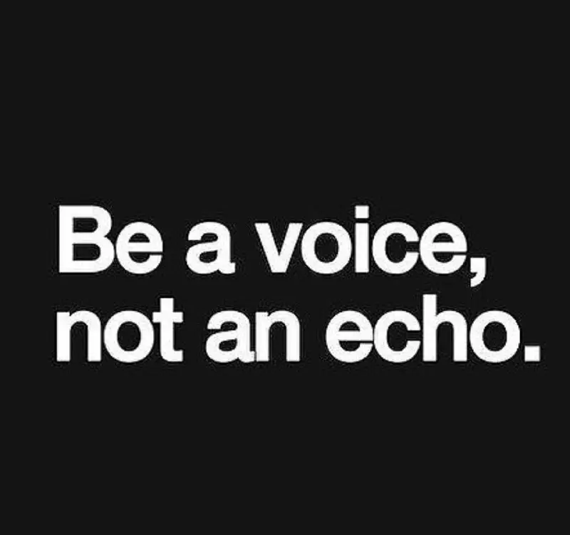 Be a voice, not an echo.