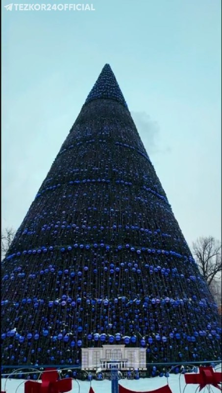 ***🎄*****Тошкентнинг бош арчаси деярли тайёр**