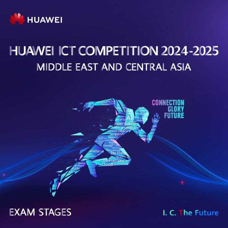 **ICT Competition 2024-2025 stages**