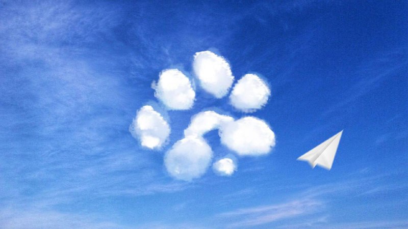 ***🐾*** PAWSda Farming ( PAWS yig'ish …