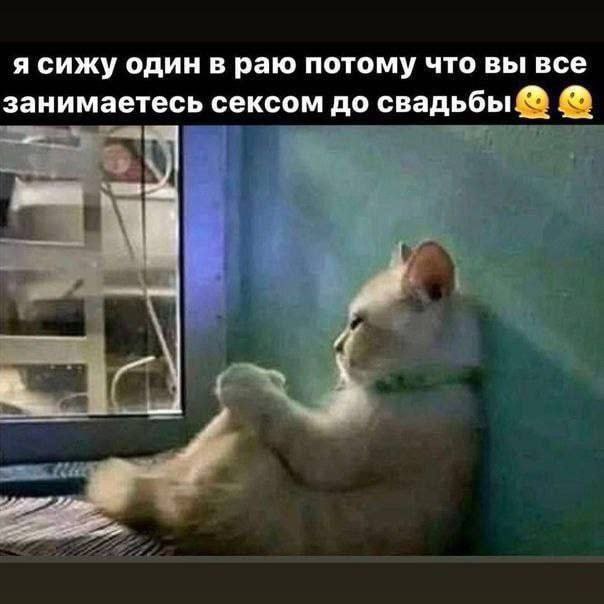 Узница Газели /туровый shit/