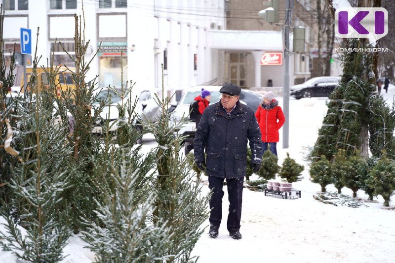 *****🌲***** **Скоро в Сыктывкаре на улицах …