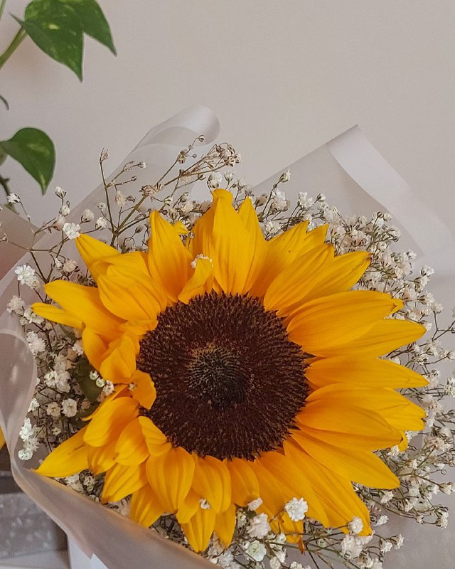 **𝐆𝐨𝐝 𝐢𝐬 𝐭𝐡𝐞 𝐛𝐞𝐬𝐭 𝐥𝐢𝐬𝐭𝐞𝐧𝐞𝐫 𝐚𝐧𝐝 …