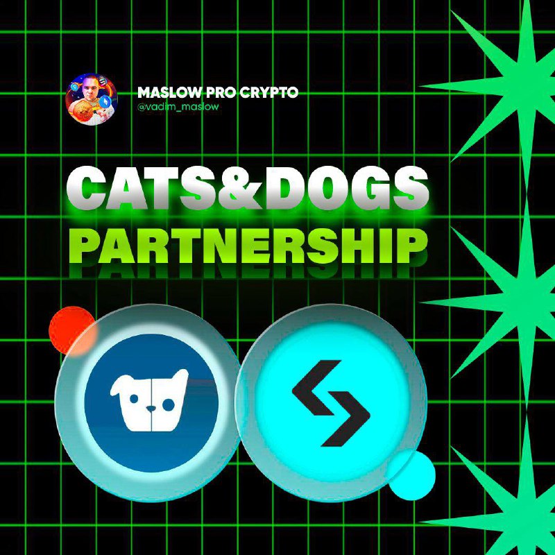 ***🔥*****У Cats&amp;Dogs коллаба с Bitget**