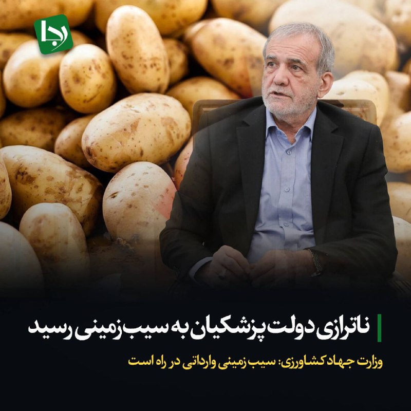 *****🔻***ناترازی دولت پزشکیان به سیب‌زمینی رسید/ …