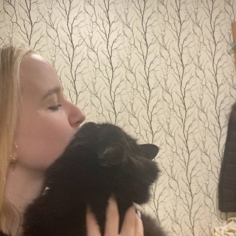 рандомный вброс