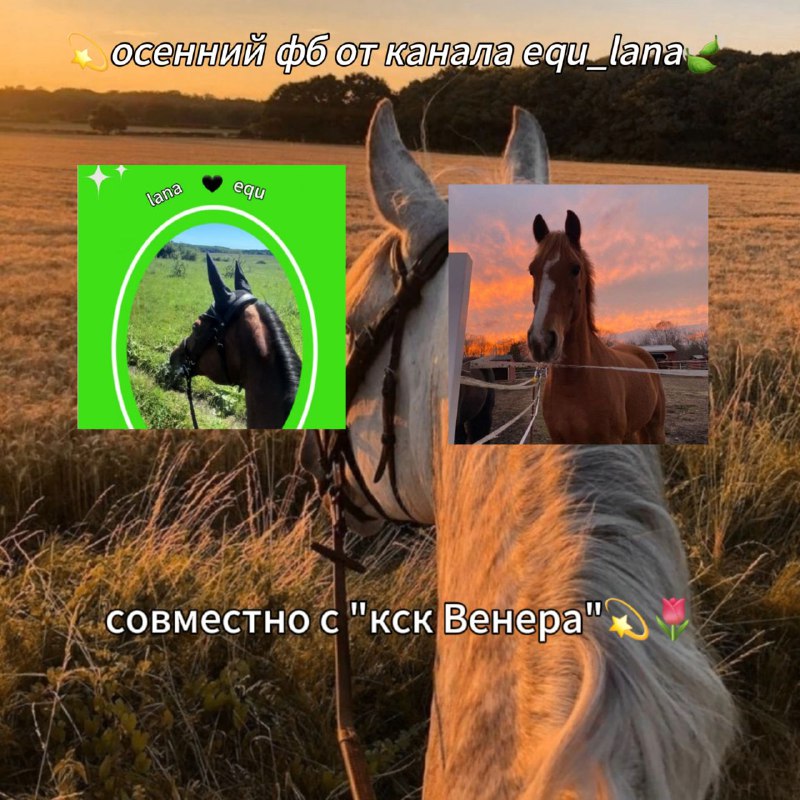 ***🍂***Осений фб от канала equ\_lana***✨***