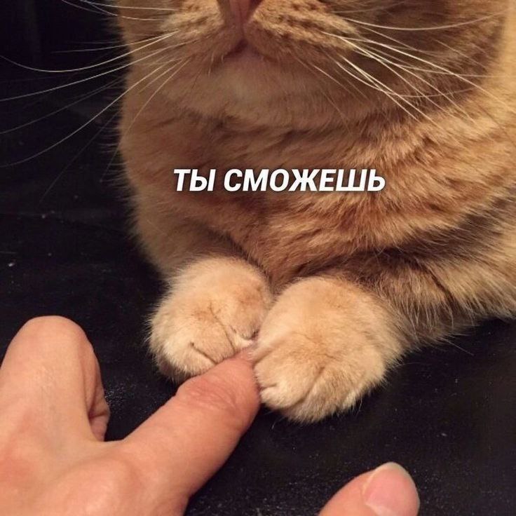 {***🥰******👱‍♀️***} *Доброго дня!*