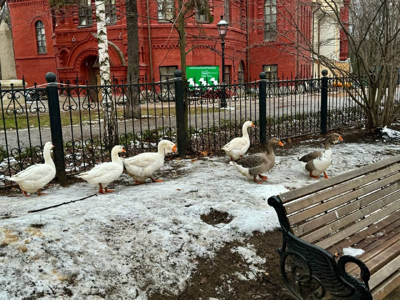 Кого только не встретишь посреди Москвы.Вот, …