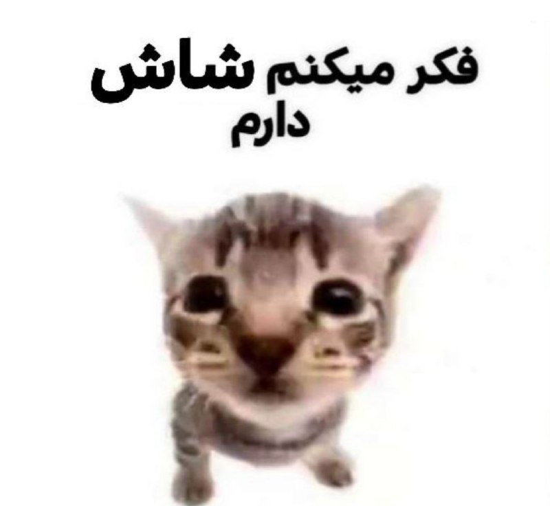 -**زمستان خود را چگونه گذراندید؟**