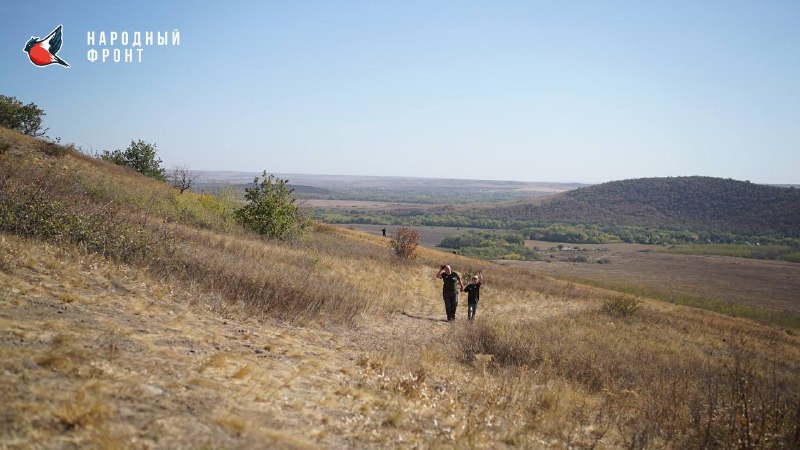 Владимир Тараненко. Z. Народный Фронт.