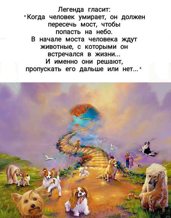 [​](https://telegra.ph/file/5e626cbdbaf5496dbff0f.jpg)**Легенда гласит....**