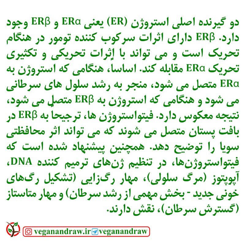 وگن و خام وگن