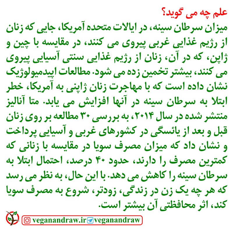 وگن و خام وگن