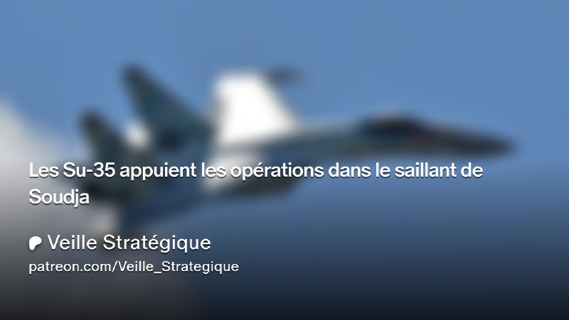 Veille Stratégique