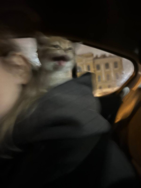 обезьчнник