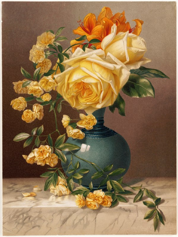 Marchal Niel Roses, by William Duffield …