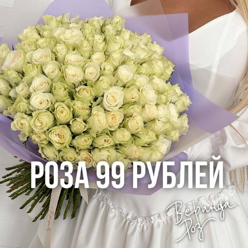 Кенийская роза 40 см 99 рублей!***✨***