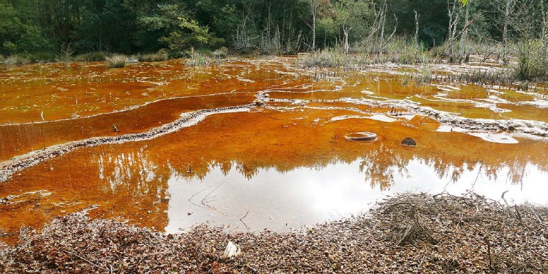 **Rexeitamos tentativa da Xunta de expulsar …