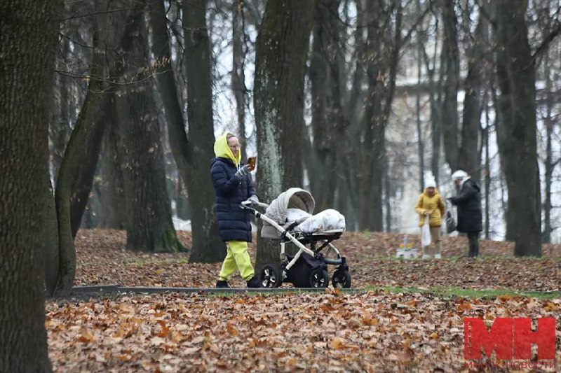 **До +6 °C ожидается в Минске …