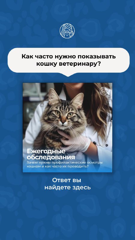 Клиника Кошек