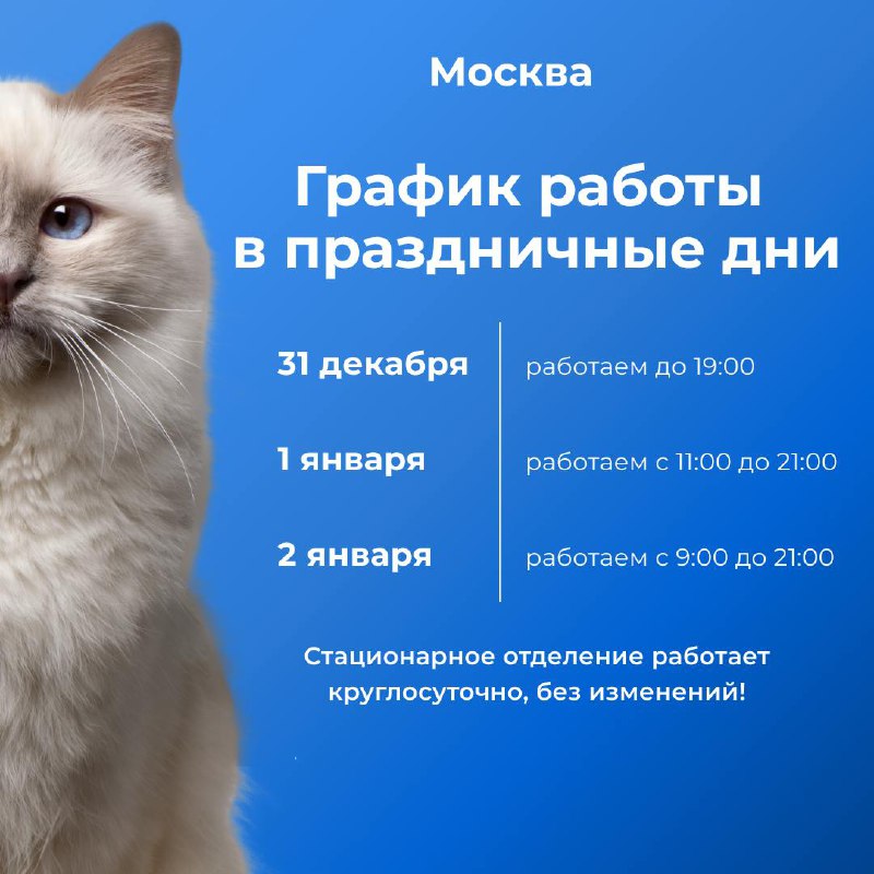 ***⚠️***Работа Клиники Кошек в праздничные дни: