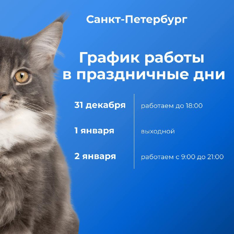 Клиника Кошек