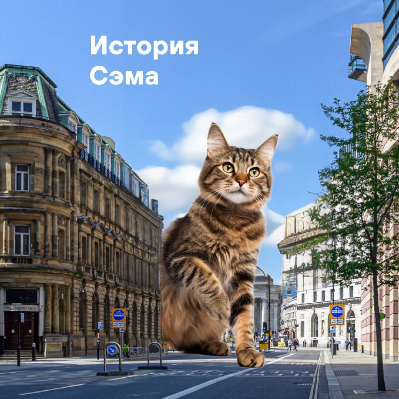 История Сэма