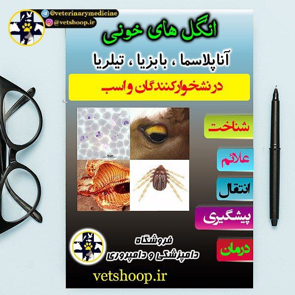 ***📚*** فایل آموزشی انگلهای خونی آناپلاسما …