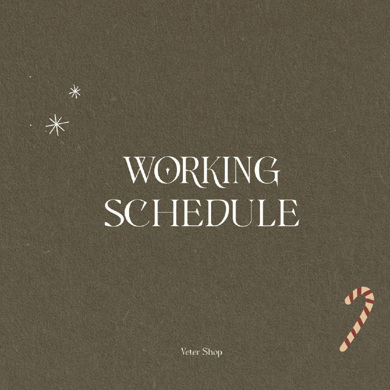 ***🌟*** **WORKING SCHEDULE**