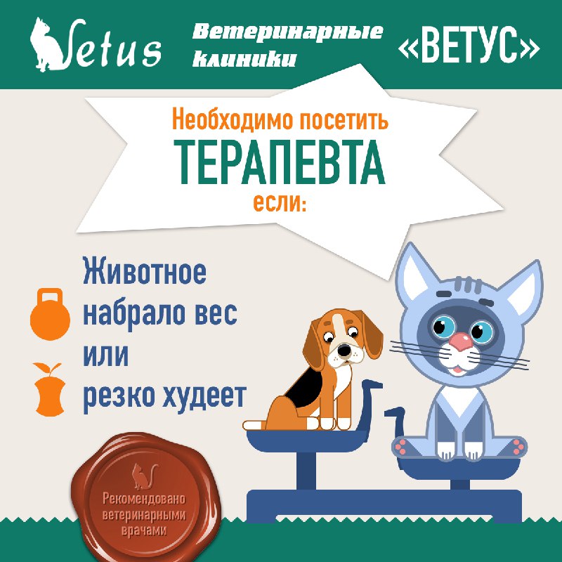 Ветклиники «Ветус»