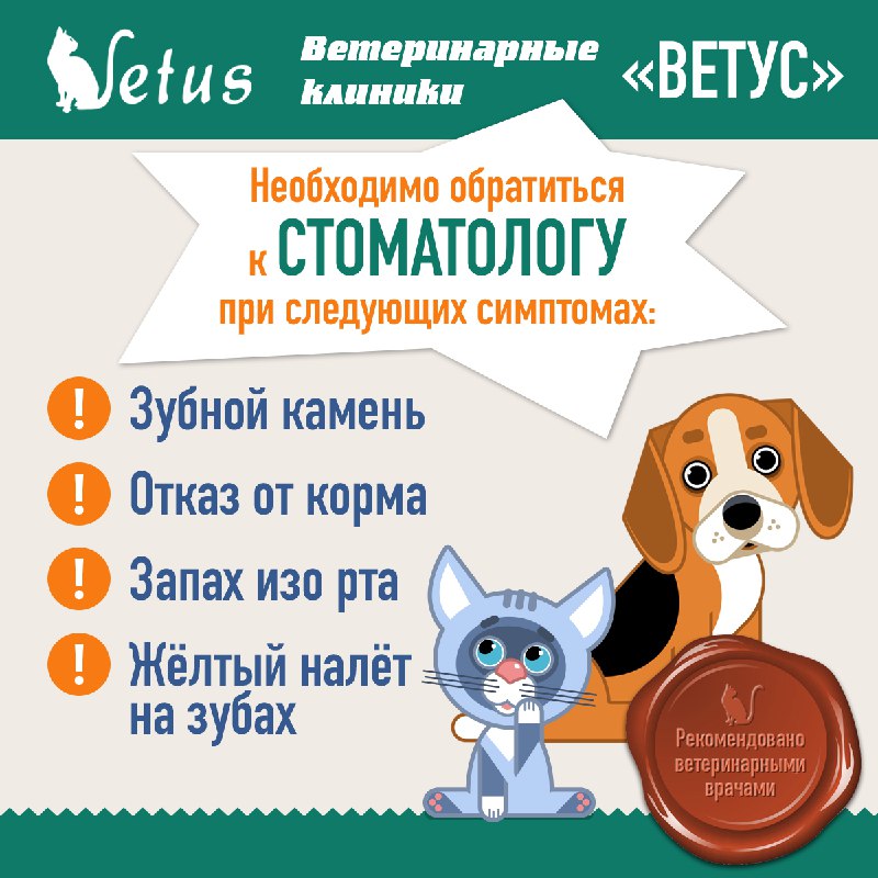 Ветклиники «Ветус»