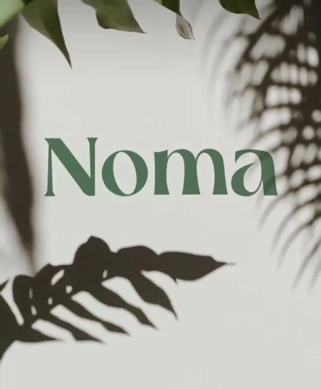 Նոր բացվող Noma ռուֆթոփ բառ ռեստորանը …