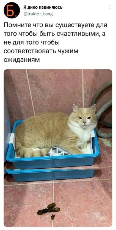 Хлебобулочные