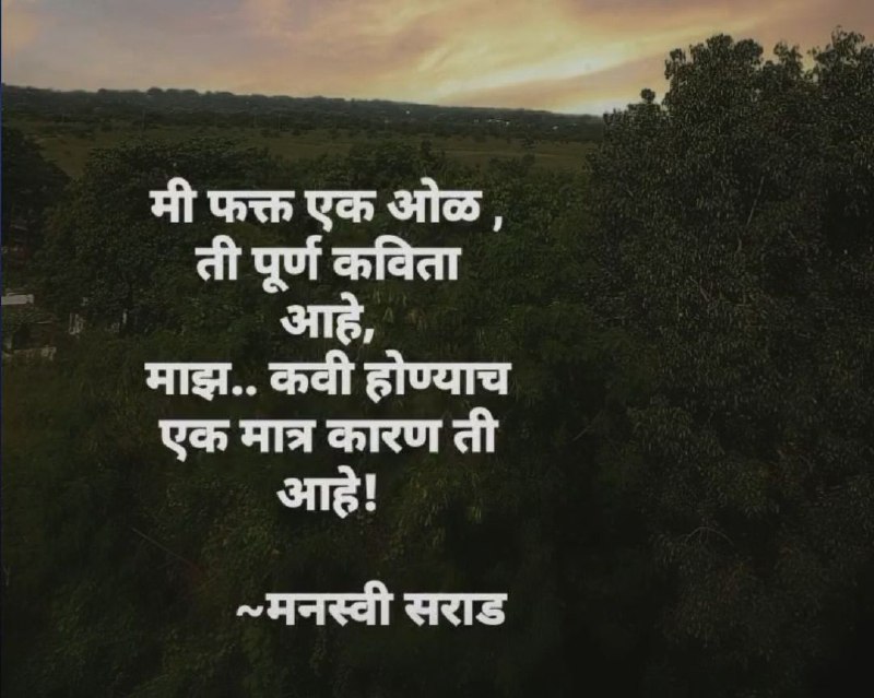 ✍️विचार मनातले (उमगती विचारधारा)