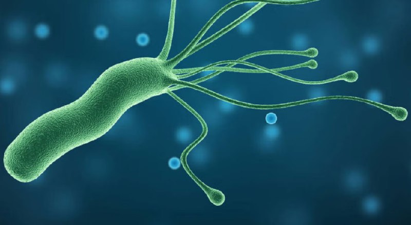 **Erradicar la infección por Helicobacter Pylori. …