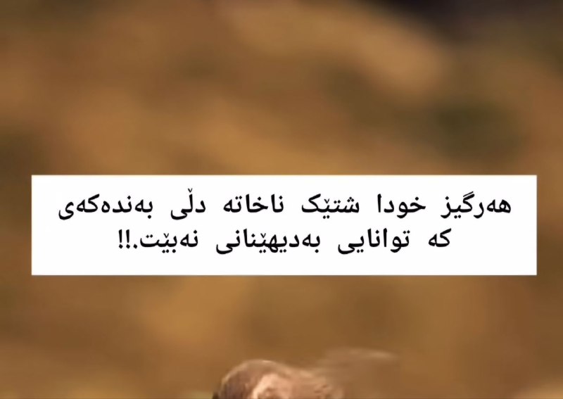 ڤیدۆی ستۆری _ Video Story