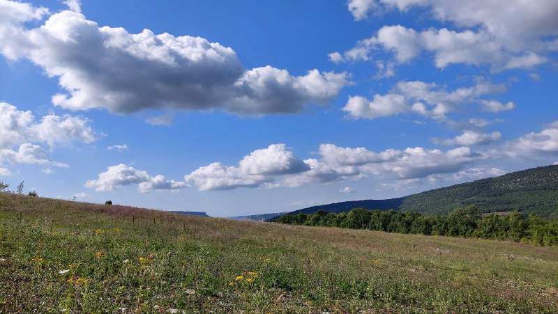 Виктор Азовский