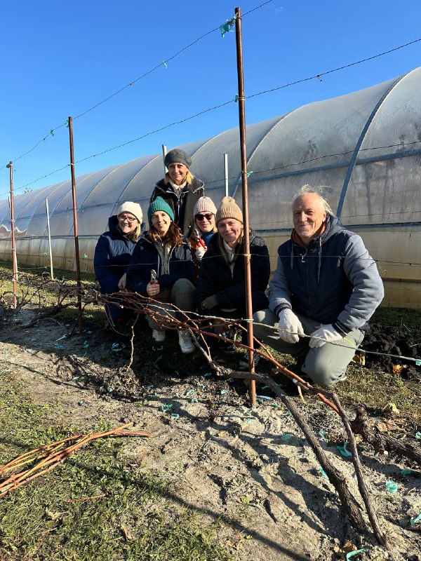 Vinograd_ulsk Виноград Ульяновска