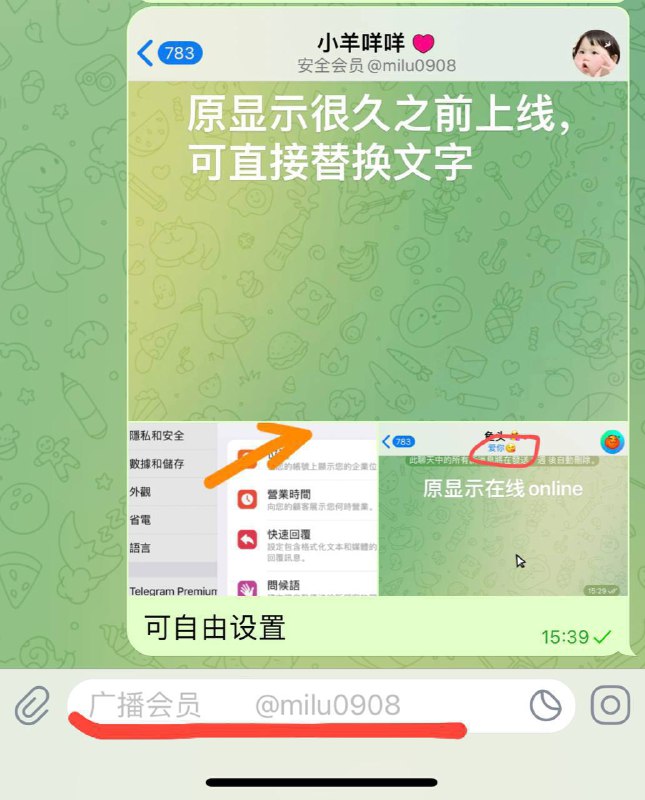 电报安装包 中文导航 ～会员代开 /上粉/飞机号