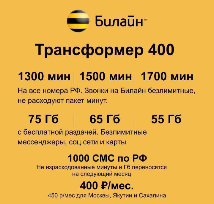 Тариф Билайн Трансформер 400