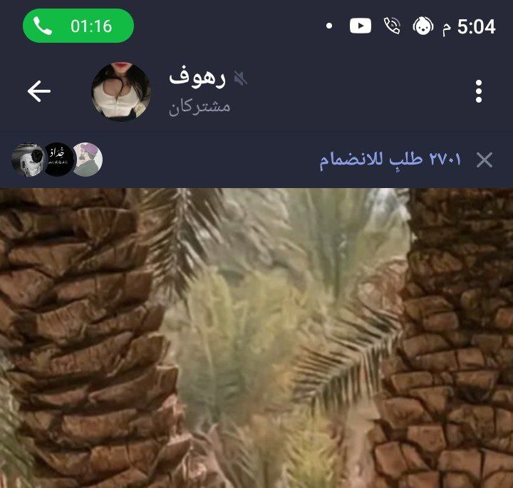 تمويل 1700 عضو