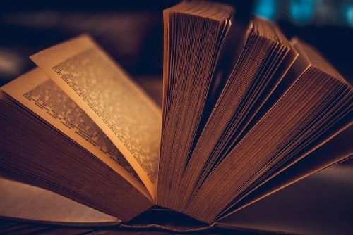 **Book Review: A Journey Through Words**